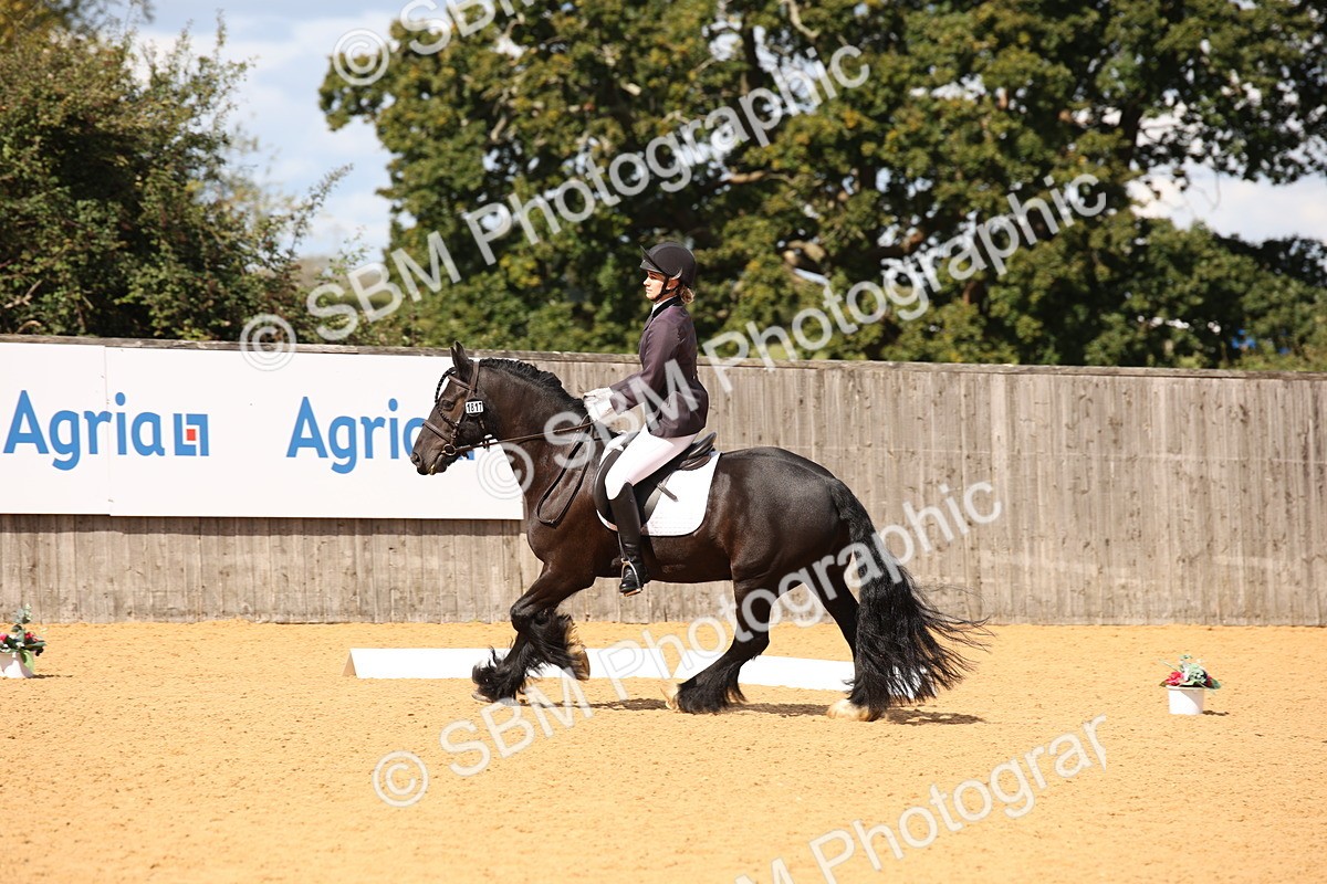 SBM_06733 - D8 Small Tour Championship Prelim 7