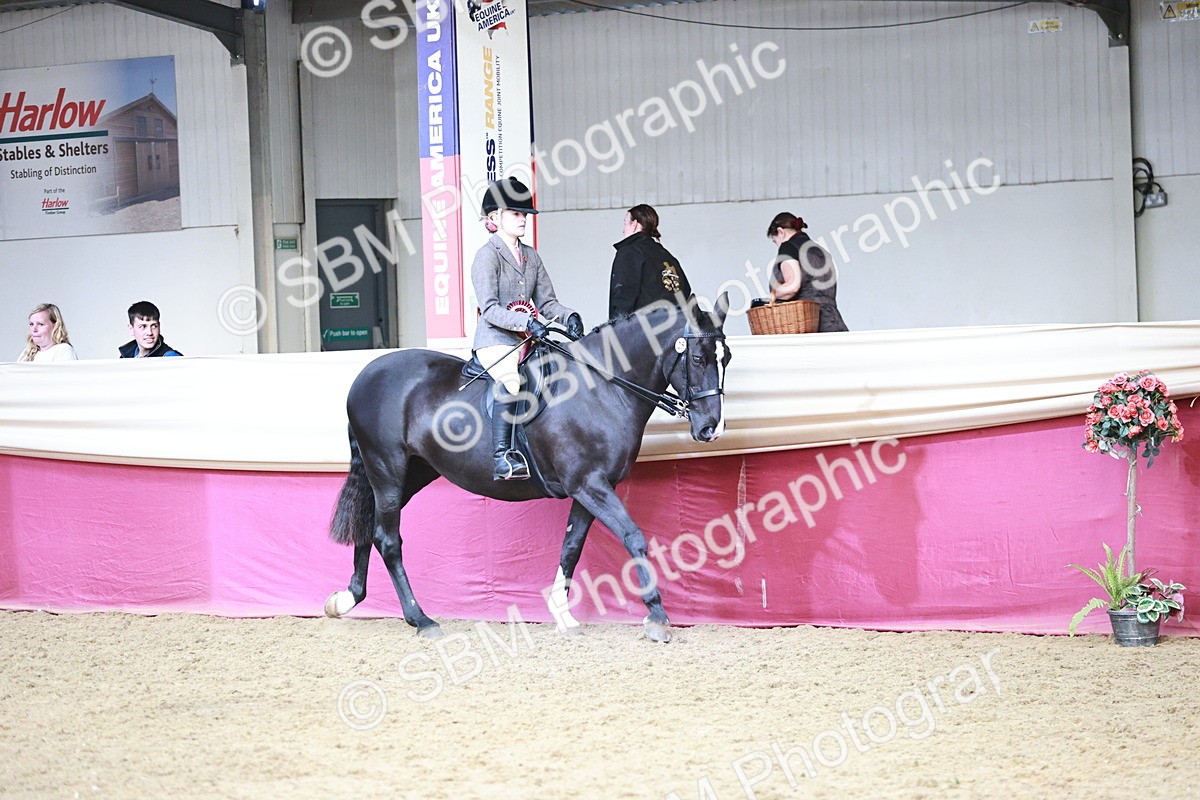 SBM_08621 - Regional Ridden Champ