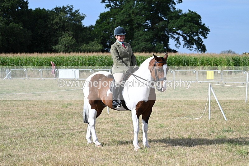 WJ7_2589 - Class 8 Ridden Tack & Turnout