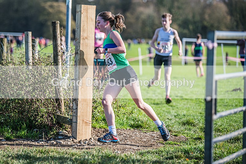 Cumbria XC-313 - Cumbria XC League Workington Saturday 26th October 2024