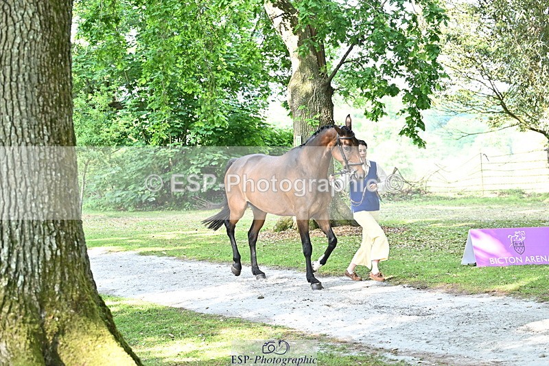 250521A-165728-01429 - C-274-Bizzy.Loffet-LONGBROOK.CHILLI.FLOWER