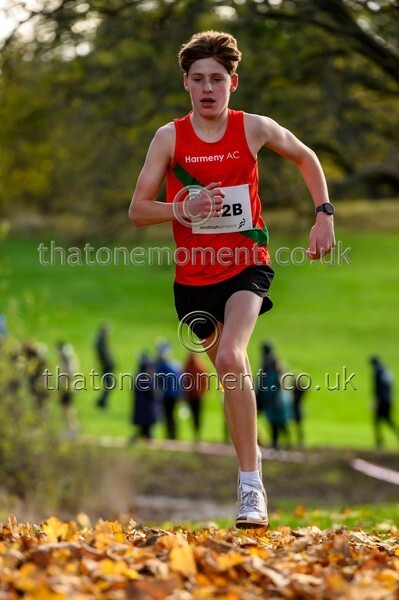 NatRel25-925352 - Young Male Set One