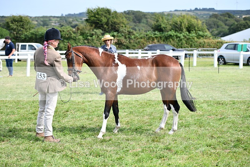 DSC_8882 - Class 75: NPS SHP Youngstock