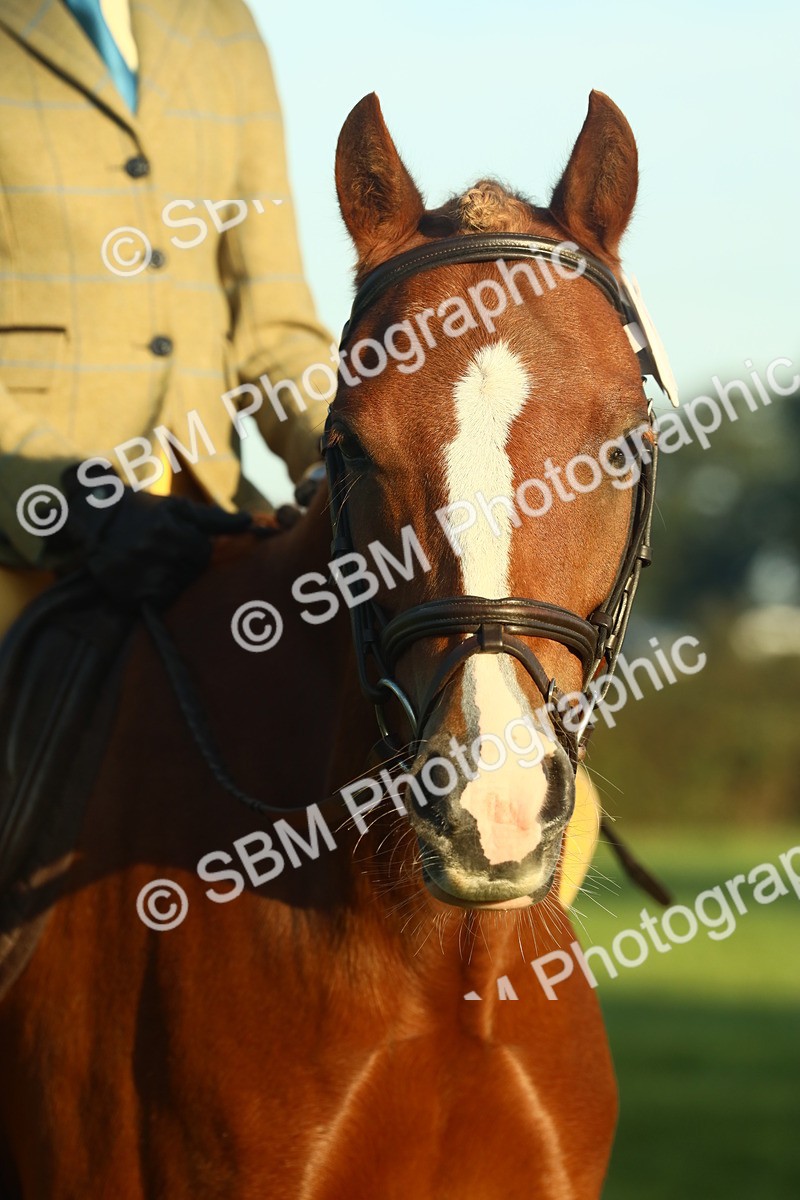 SBM_56640 - S36 - Starters Best Turnout
