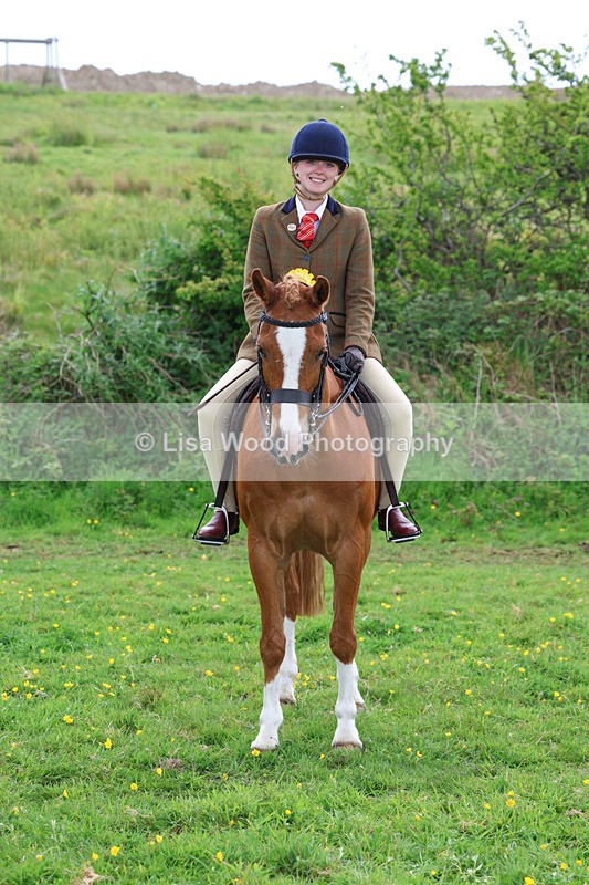 3E7A2051 - Class 10: Ridden Sports Horse