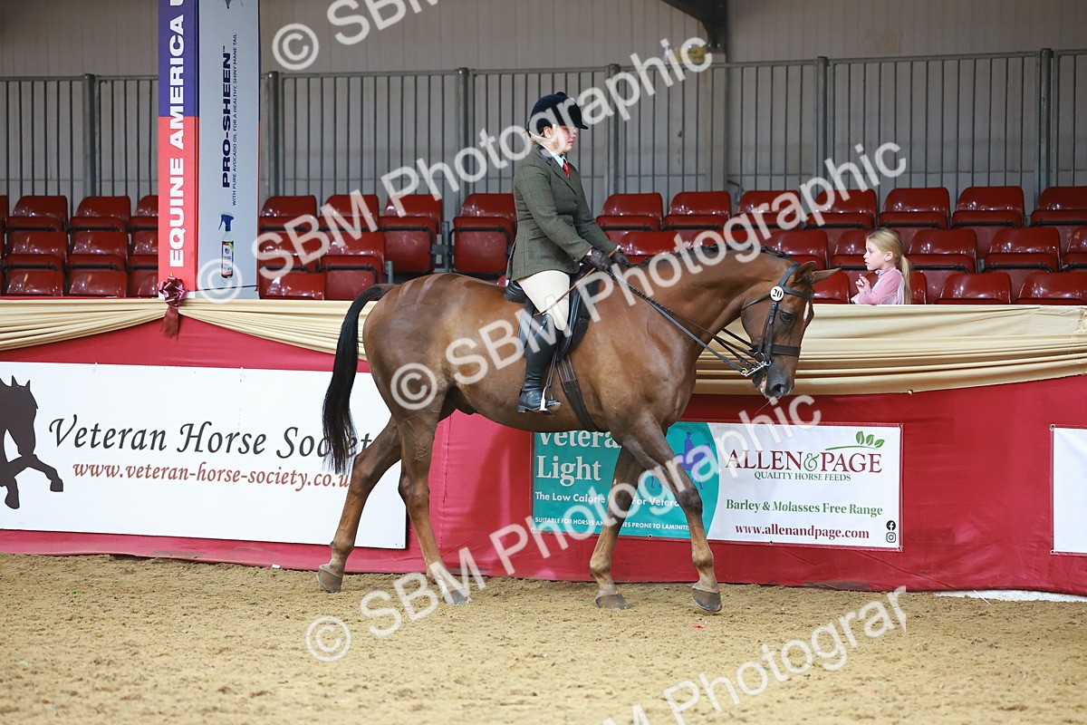 SBM_09572 - Class 102 - HOYS Veteran Qualifier - Ridden Veteran