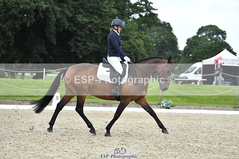 230812-125828-04255 - Cls 6 Novice Silver 12.10 to End