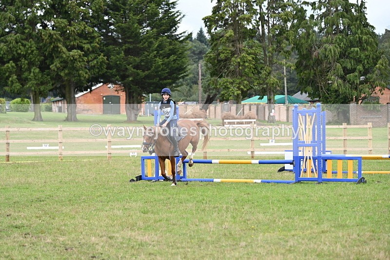 WJ6_1952 - 60cm Time 12:30 to 12:49