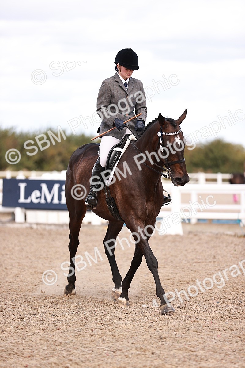 SBM_14460 - Class 410 - Grassroots Ridden - Horse