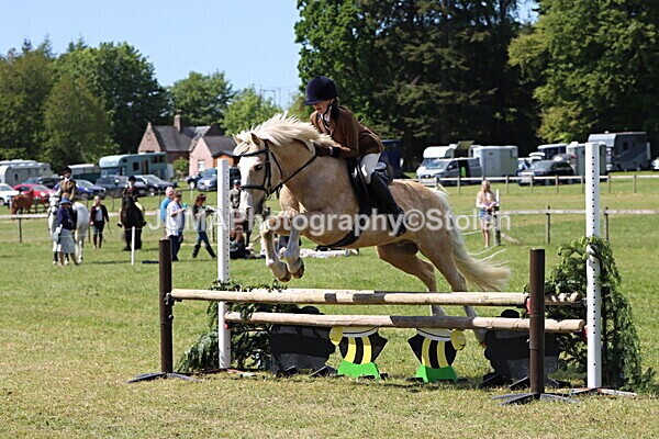 IMG_4258 - Working Hunter