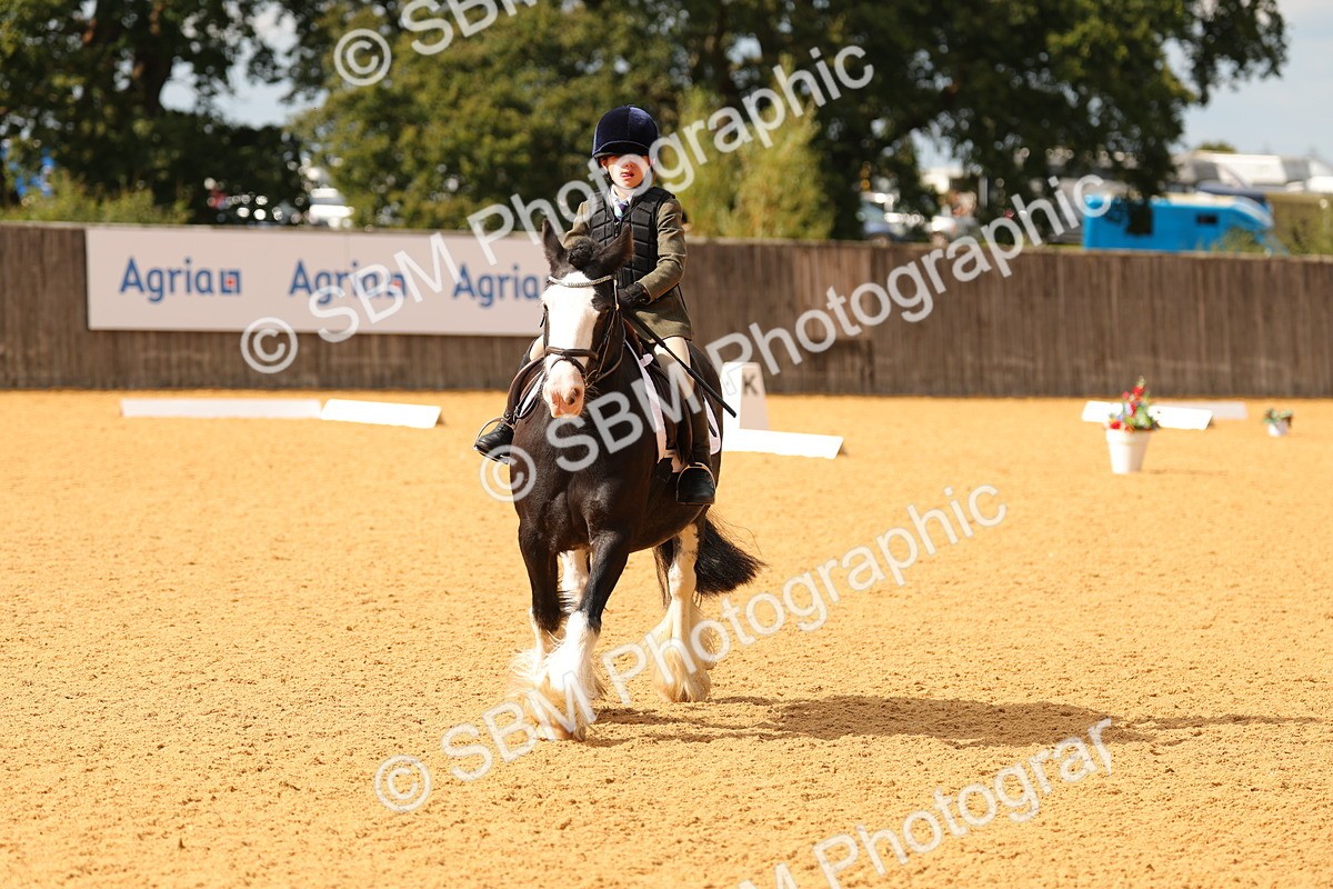 SBM_48236 - D22 - Junior Championship - Intro B