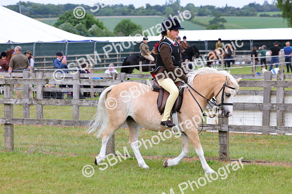 SBM_08486 - Class 42-43 - LIHS BSPS Heritage Working Sports Pony