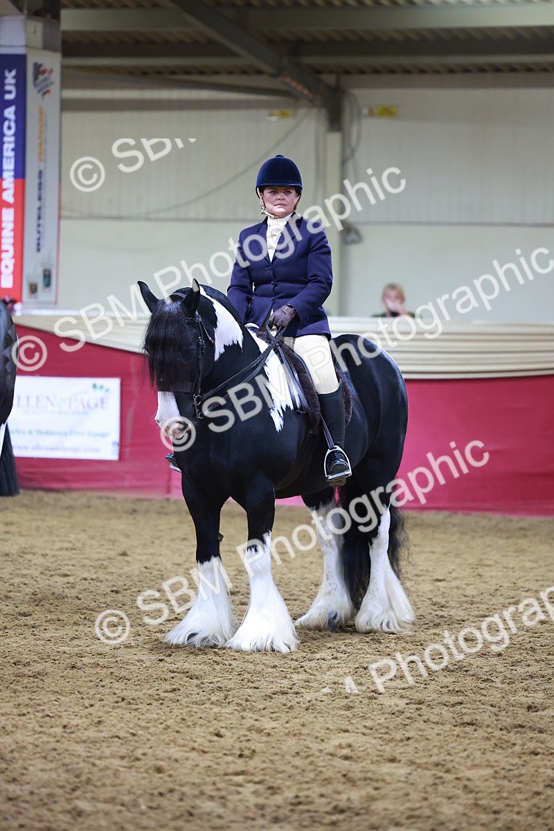 SBM_14908 - Class L - Coloured Champ