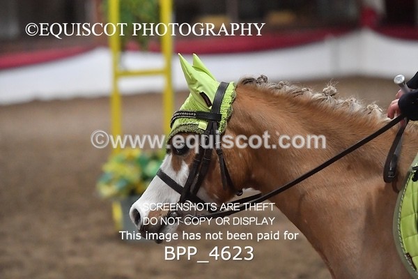 BPP_4623 - CLASS 5 60CM