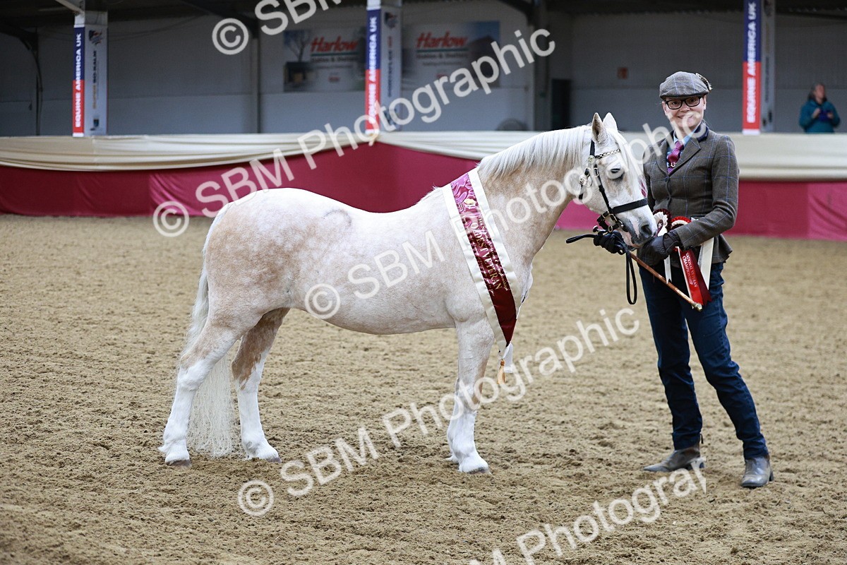 SBM_00356 - Class 1A - Area IH Diamond