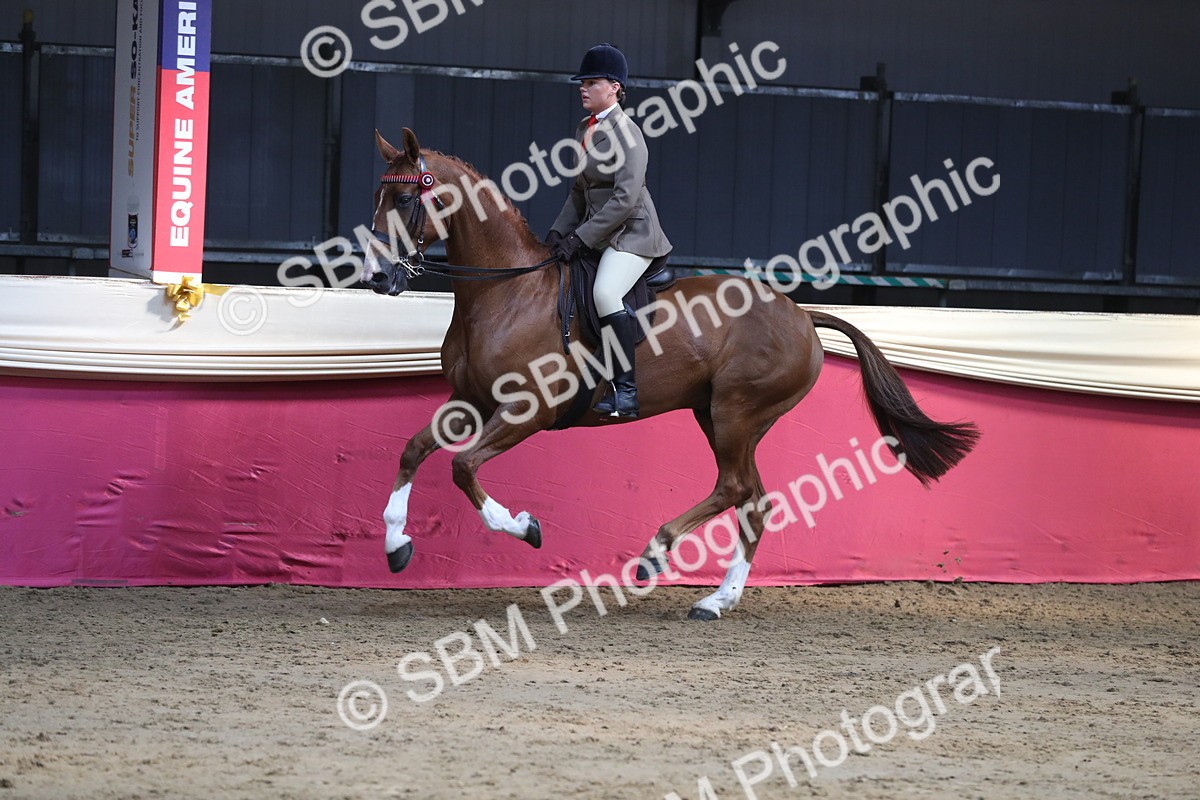 SBM_08357 - Class 11R Regional Ridden Veteran