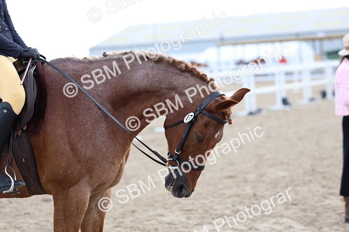 SBM_10125 - Class 304 - Ridden Part Bred Horse Pony