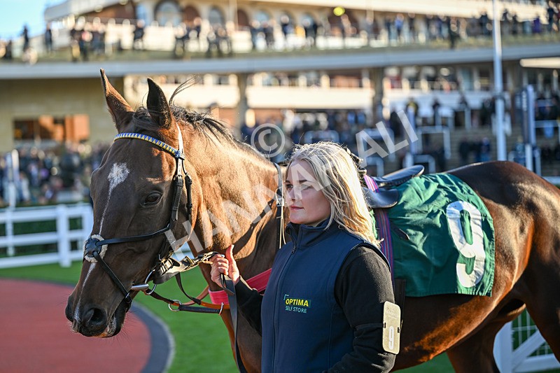 251025-Race 7-Le Fabuleux Bucks-0103 - Race 7