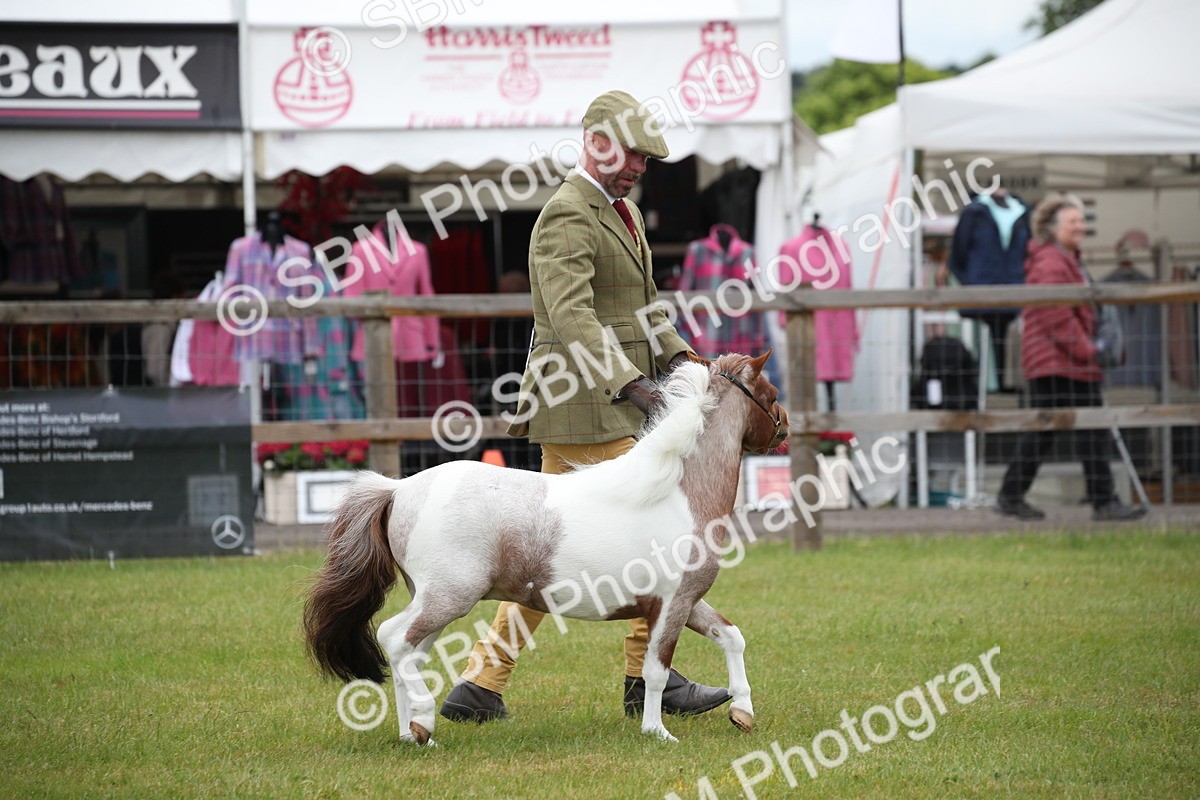SBM_03711 - Class 23-25 - British Miniature Horse of the Year