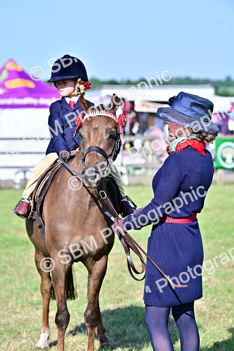 SBM_19827 - Class 103 - 105 - TSR Ridden Amateur of the Year Plaited Ponies
