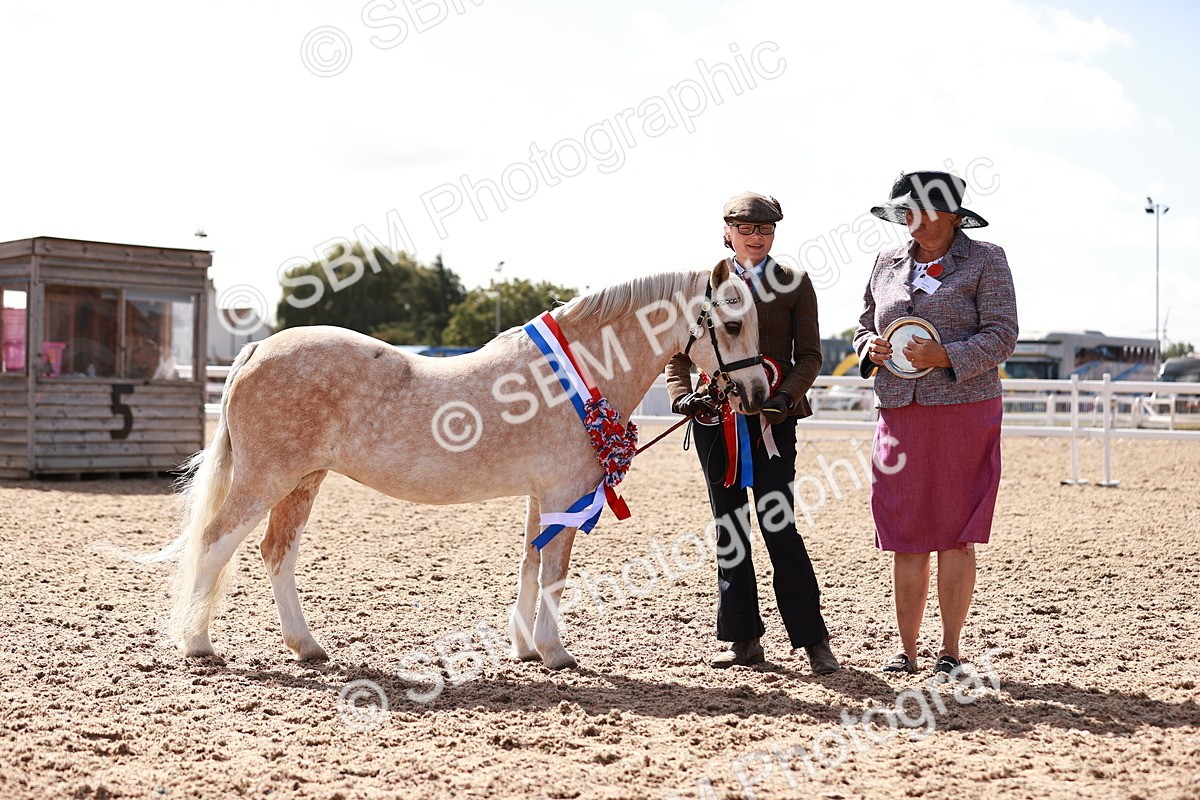 SBM_22918 - Class 706 - IH Veteran