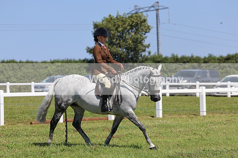 IMG_2167 - Class 36: Part Bred Ridden M & M