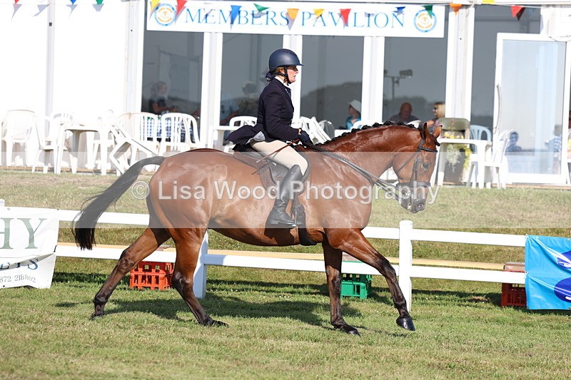 3E7A5329 - Class 2: Rising Star Large Hack/Riding Horse