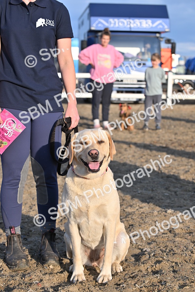 SBM_09454 - Lorry Dogs