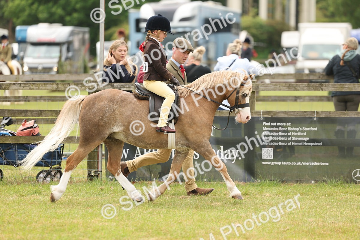 SBM_06648 - Class 74-75 - M&M Lead Rein and First Ridden Pony