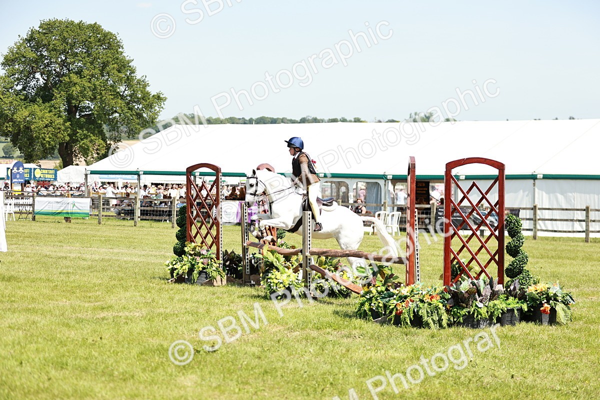 SBM_15489 - Class 108-109 - BSPS LIHS Open Gradle & Nursery Stakes