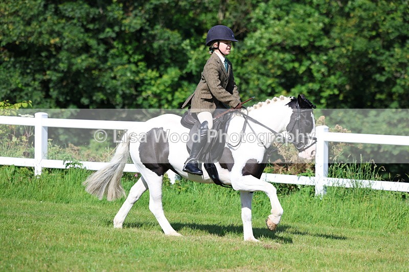 3E7A5982 - Class 27: Novice Working Hunter Pony