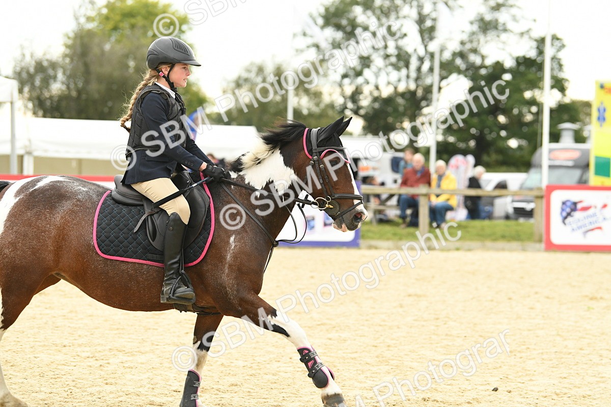 SBM_73282 - J16 - Junior Pony 75cm Championship