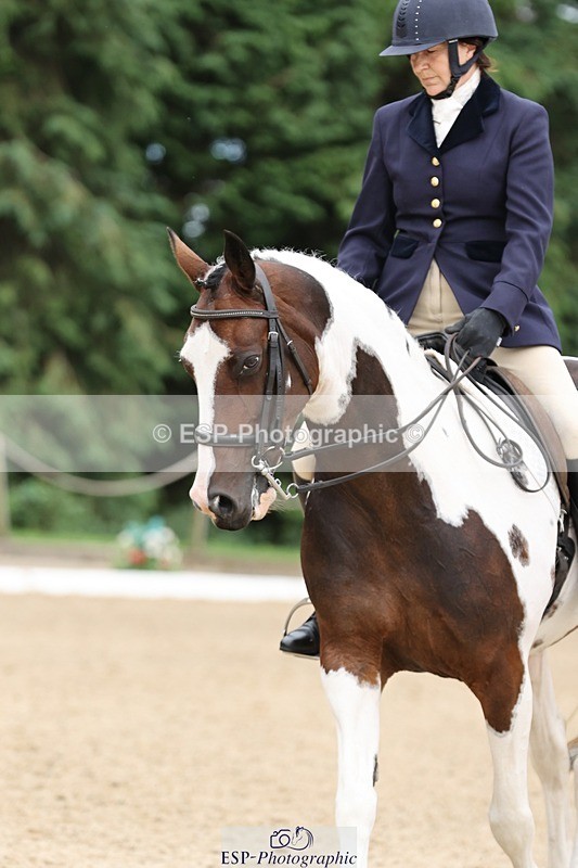 240810-161136-04162 - 155-Debbie.Squires-Mystic.Spirit