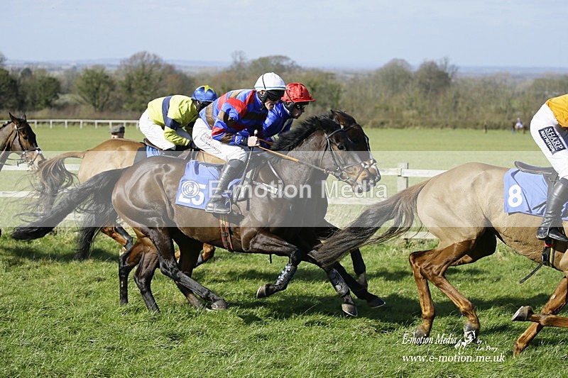 PtP 260222 236 - Kingston Blount Racing Club Point-to-Point 26/02/22