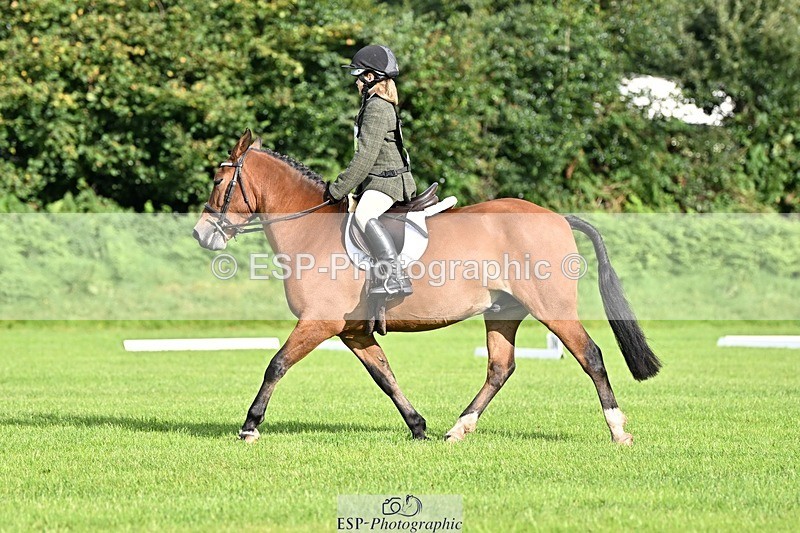 230826-090314-15910 - Sections A & B - 9 to 10am