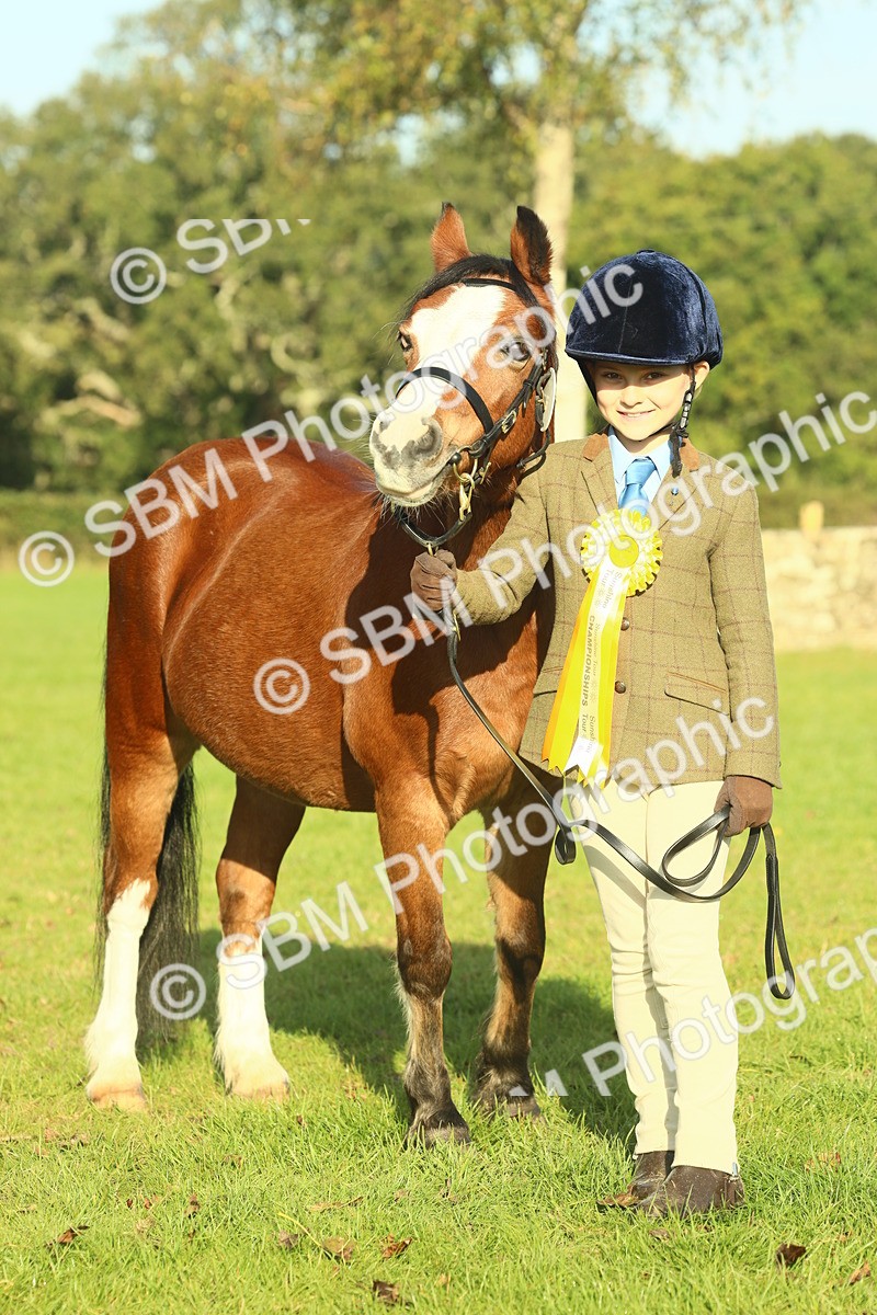 SBM_58520 - S37 - Starters In Hand Showing