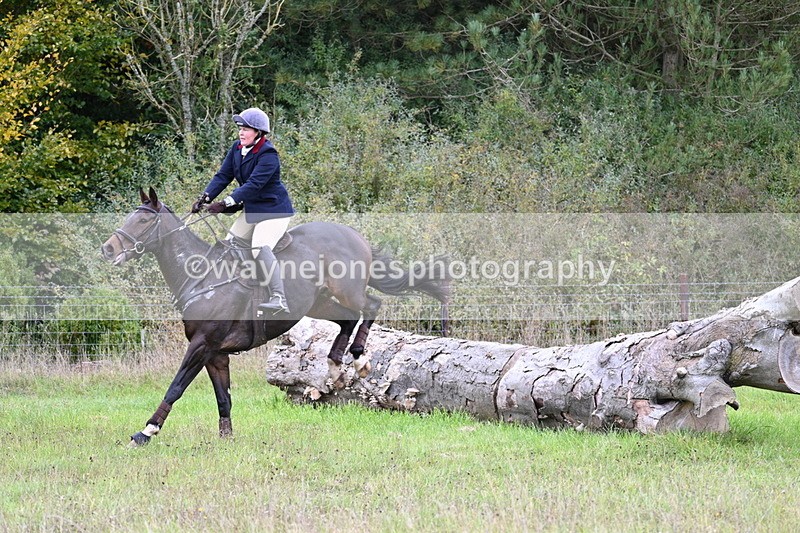 WJ7_3748 - Camera 1 Line 1