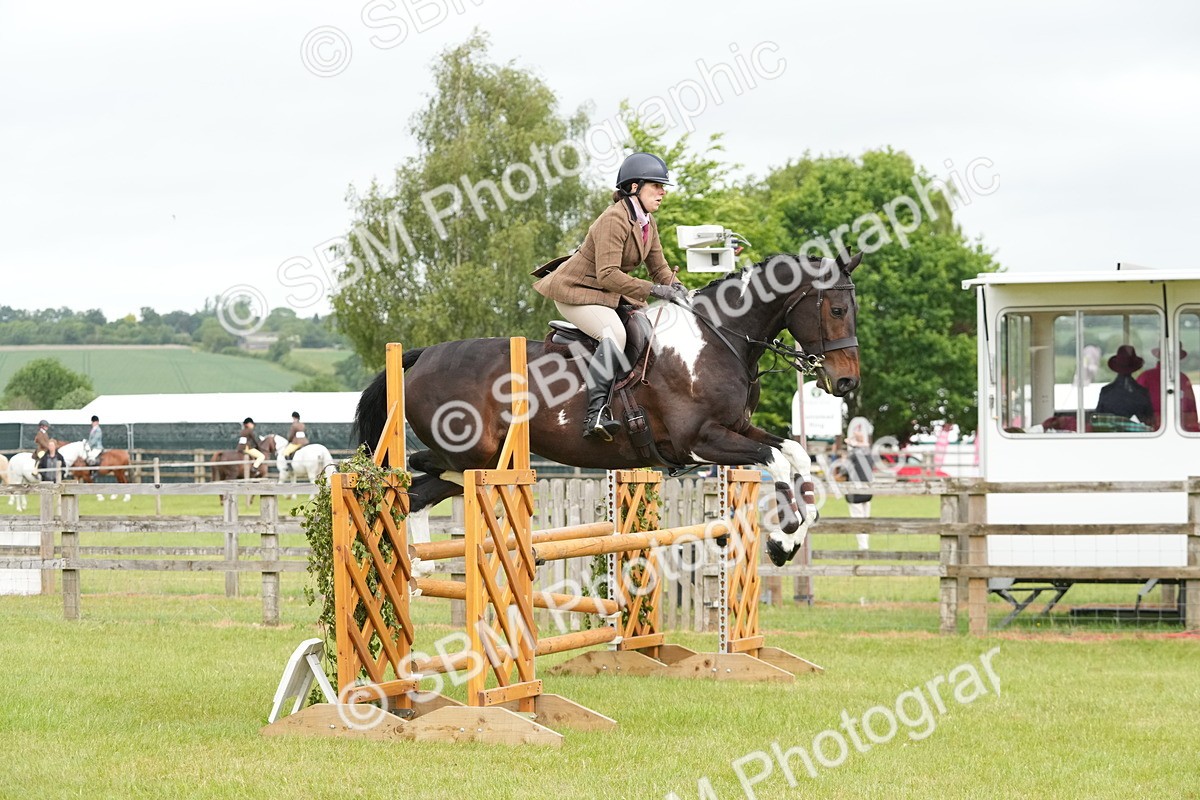 SBM_12567 - Class 97-98 - LIHS BSHA Rising Star Working Show Horse Hunter