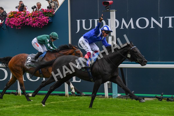230823-Race 4-Mostahdaf-0600 - Race 4 3.35pm Juddmonte International Stakes