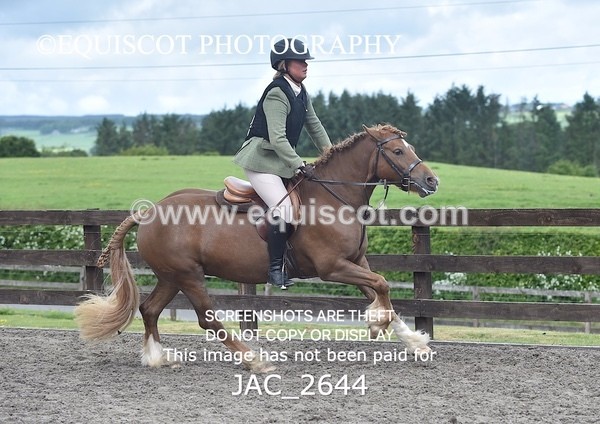 JAC_2644 - CLASS 4 BSPS Scone Palace HT Training Stakes Series