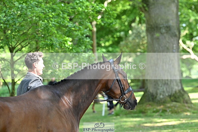 250521A-154149-00700 - B-351-Will.Rawlin-MACKENZY