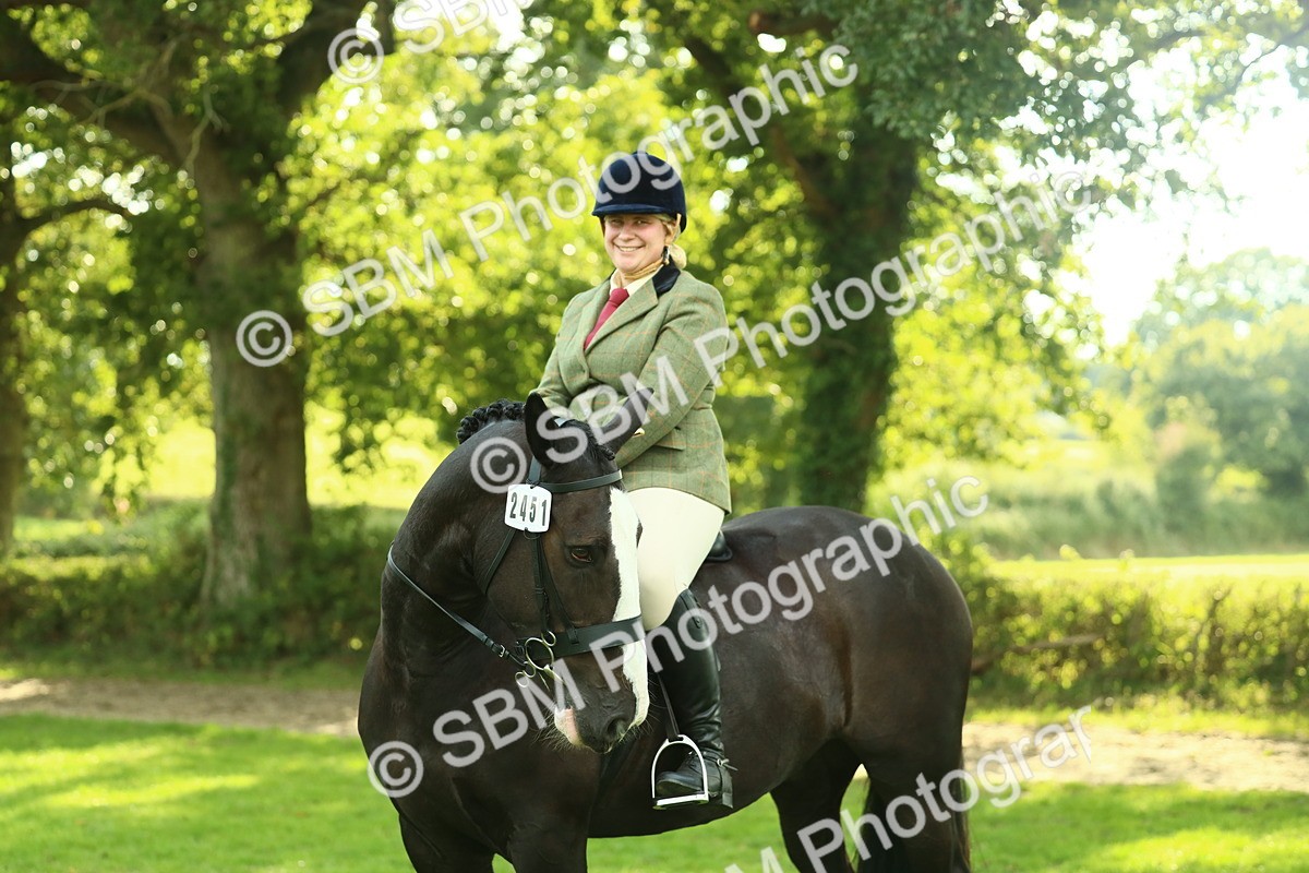 SBM_52191 - S33 - Working Hunter & Working Show Horse