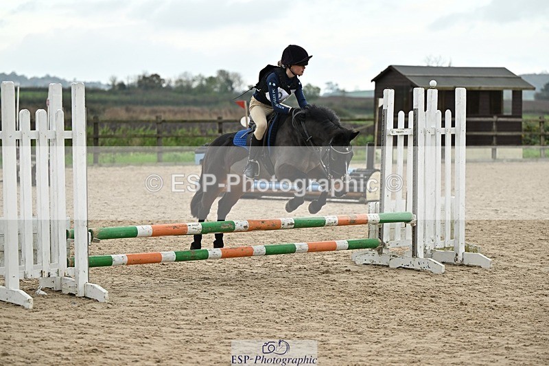 241110-135420-00971 - 60-65cm Arena Eventing