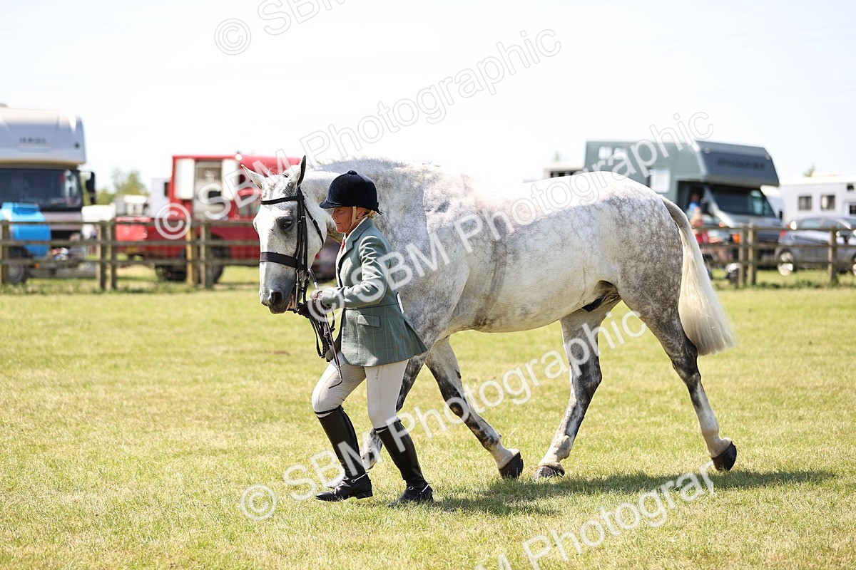 SBM_16181 - Class 79-80 - LIHS BSHA Rising Star Ridden Hunter