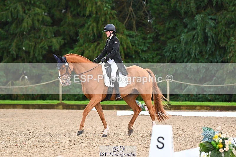 231021-092246-12521 - 223-RASCAL.ROULETTE-Charlotte.Byrnes-DR