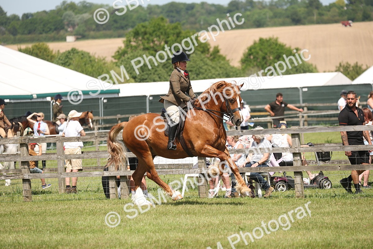 SBM_06965 - Class 26-30 - Mountain and Moorland Ridden