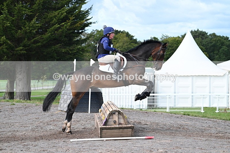 WJ7_0612 - Time 11:36 to 12:00