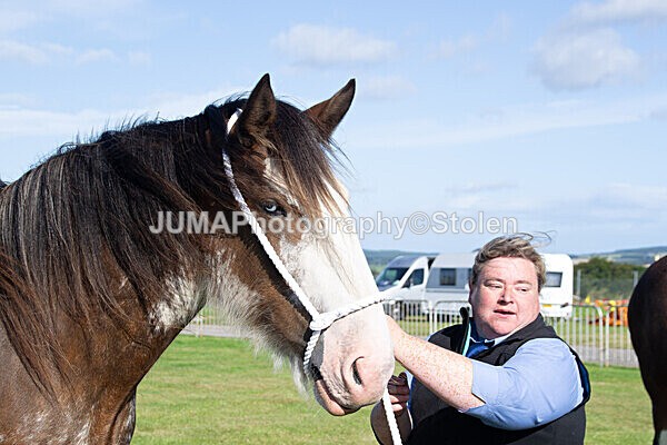 DSC_0059 - Ring 1