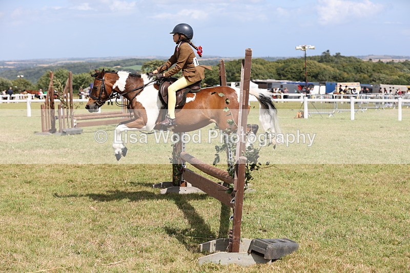 JPP_2165 - Class 19: Working Hunter 60cm