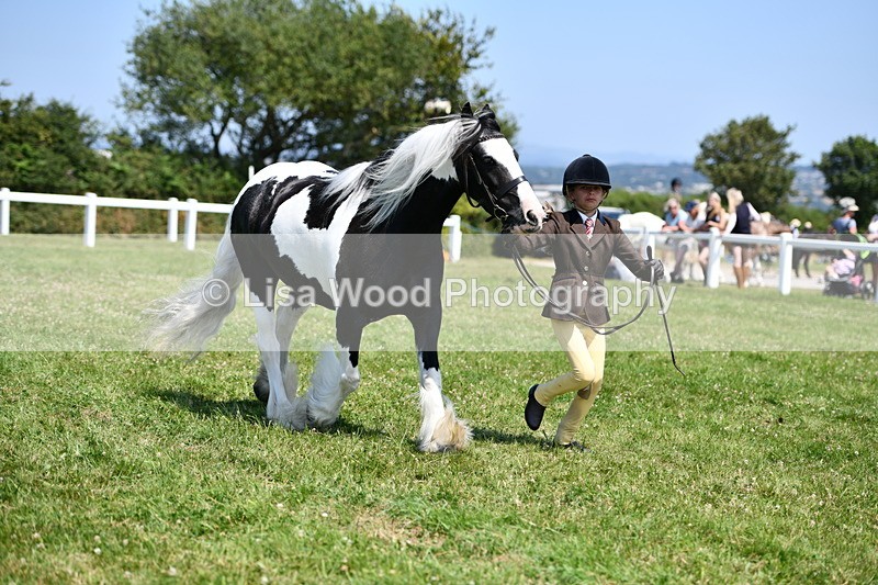DSC_7688 - Class 64: Coloured Pony 4yrs & over